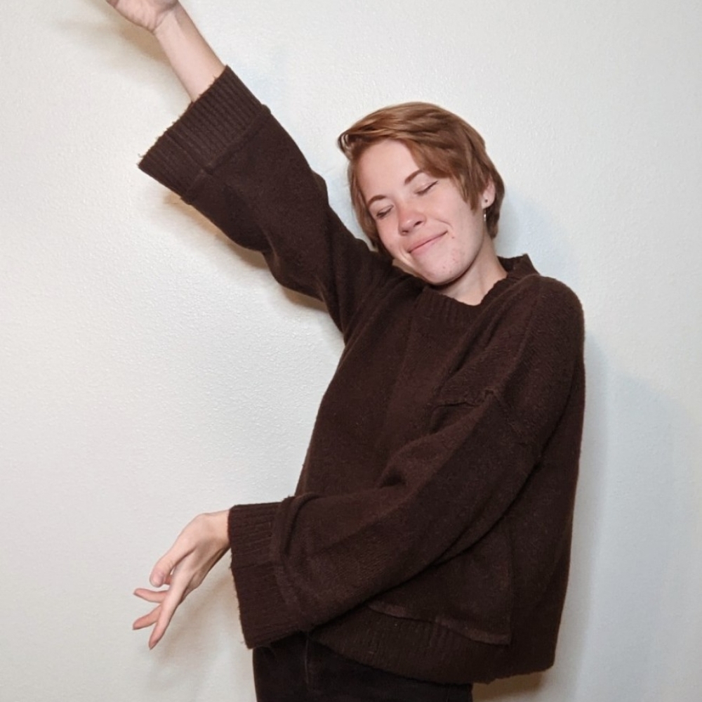 Brown Crop Top Sweater